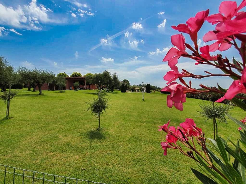 Villa Claudia Bardolino Bagian luar foto